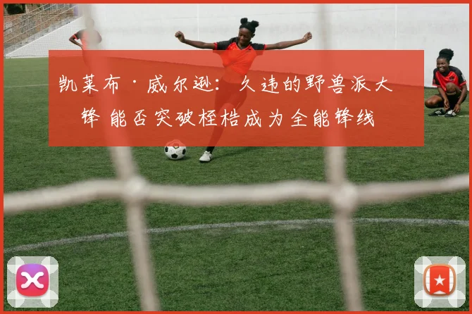 凯莱布·威尔逊：久违的野兽派大前锋 能否突破桎梏成为全能锋线