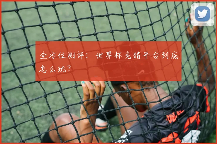 全方位测评：世界杯竞猜平台到底怎么玩？